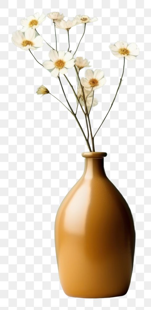 PNG Minimal vase decoration flower plant. AI generated Image by rawpixel.