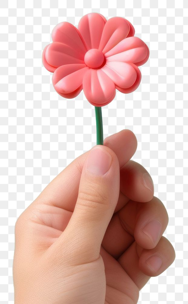 PNG Hand holding flower plant inflorescence confectionery. AI generated Image by rawpixel.