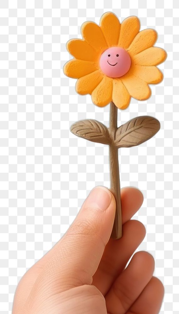 PNG Hand holding flower plant inflorescence confectionery. AI generated Image by rawpixel.