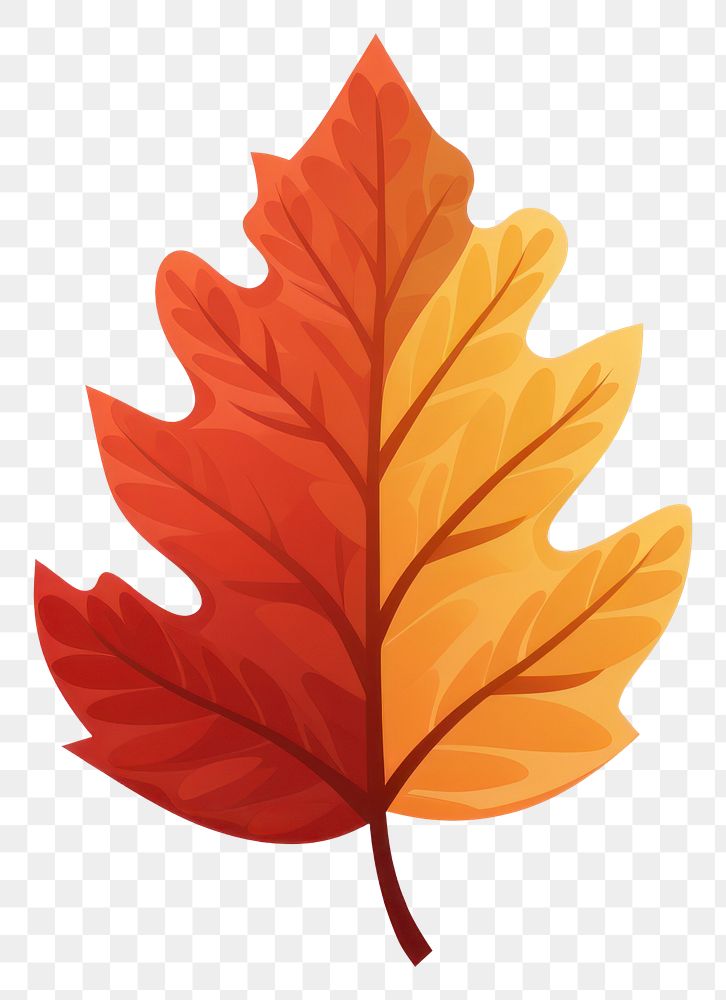 PNG Autumn leaf plant tree white background. AI generated Image by rawpixel.