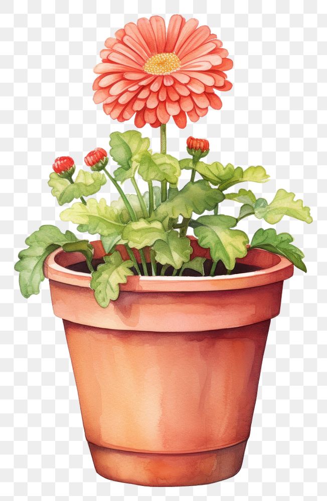 PNG Flower pot plant white background creativity. AI generated Image by rawpixel.