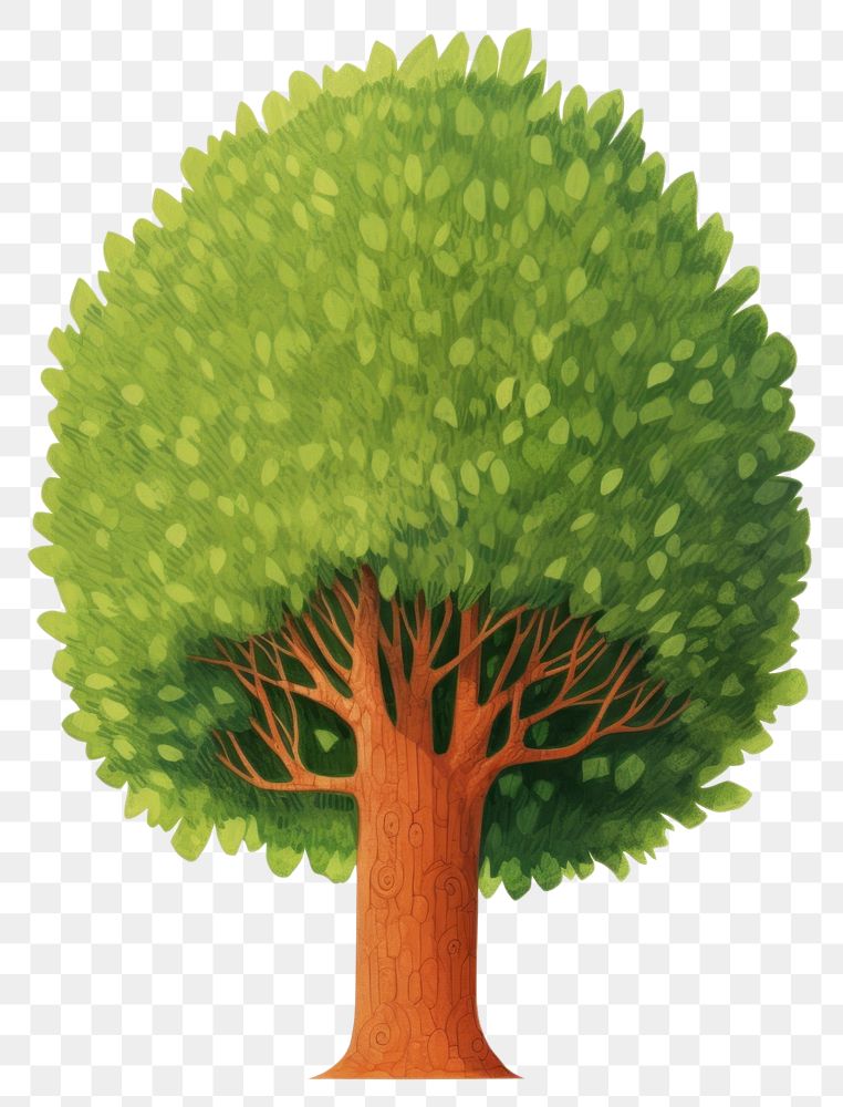 PNG Simple cartoon tree plant white background vegetation. AI generated Image by rawpixel.