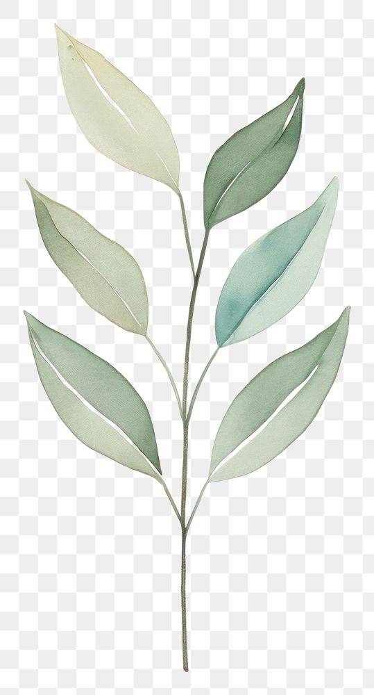 PNG Minimal leafs plant creativity pattern. AI generated Image by rawpixel.