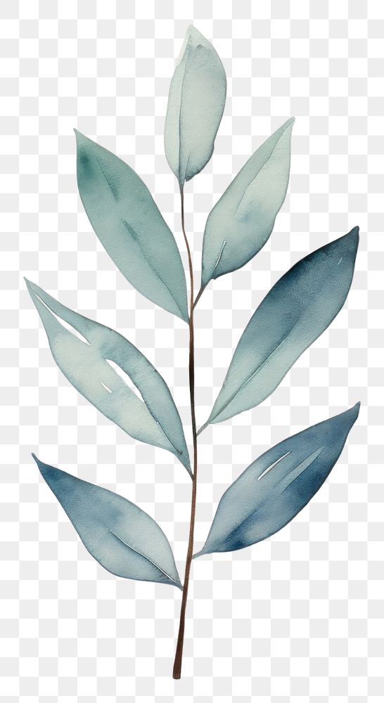PNG Minimal leafs plant creativity drawing