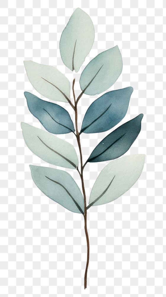 PNG Minimal leafs plant art creativity. AI generated Image by rawpixel.