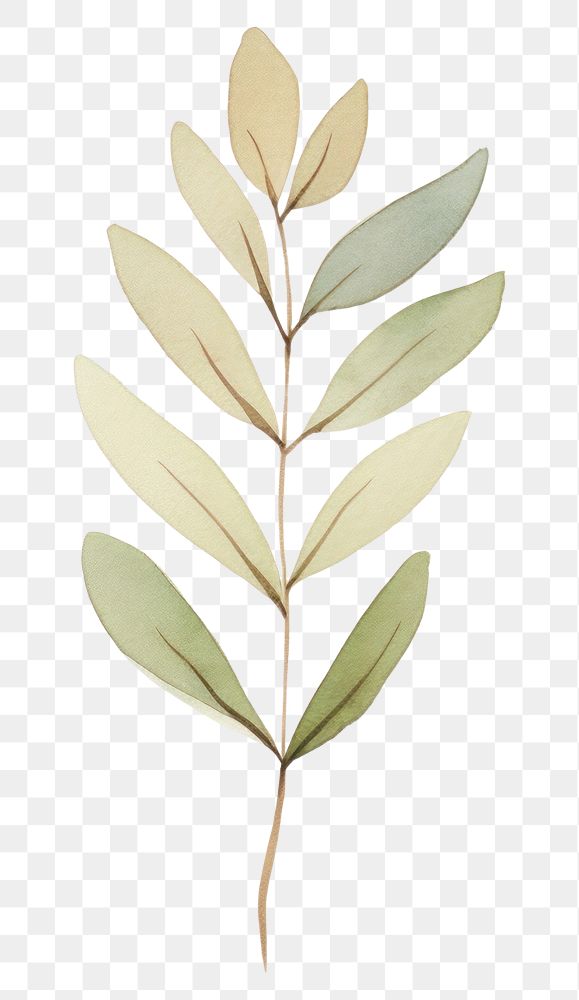 PNG Minimal leafs plant art pattern. AI generated Image by rawpixel.