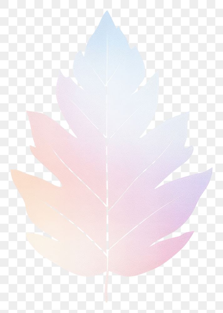 PNG Leaf icon plant white background fragility. AI generated Image by rawpixel.