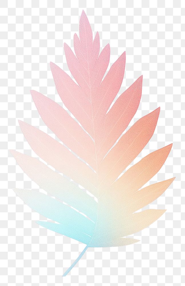 PNG Leaf icon pattern nature plant. AI generated Image by rawpixel.
