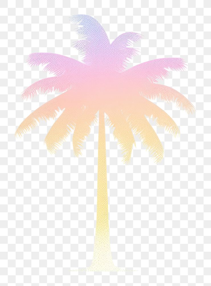 PNG Coconut treee icon plant white background silhouette. 