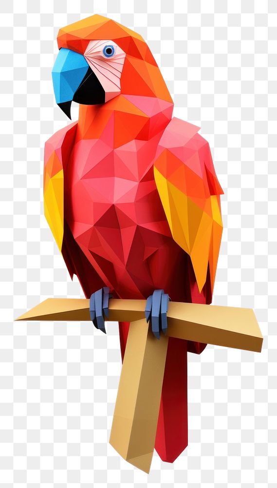 PNG  A parrot animal nature bird. 