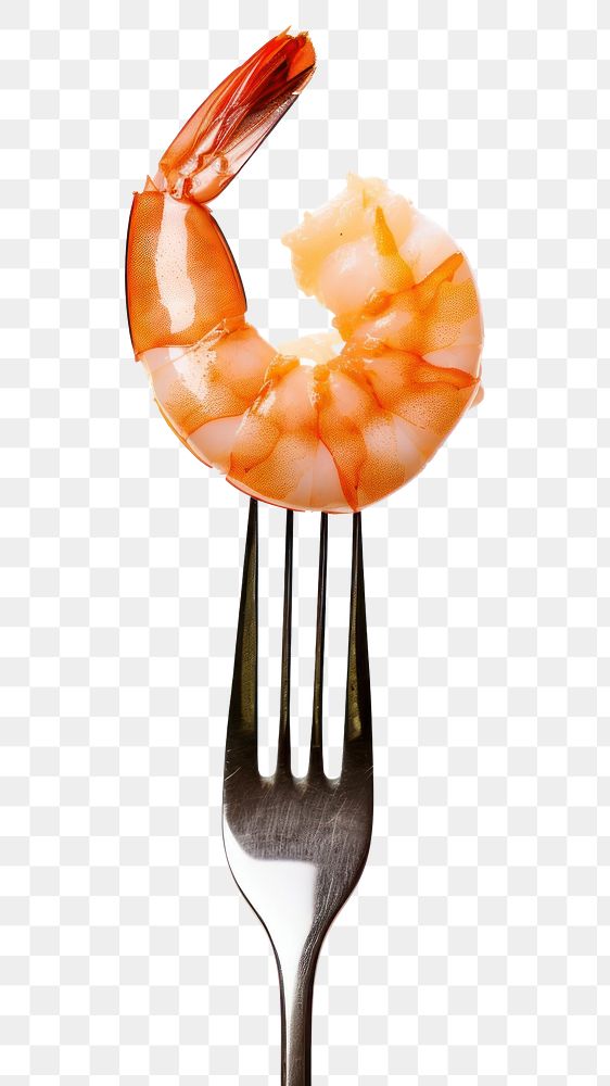 PNG  A cooked Peeled shrimp on a fork food seafood white background. AI generated Image by rawpixel.