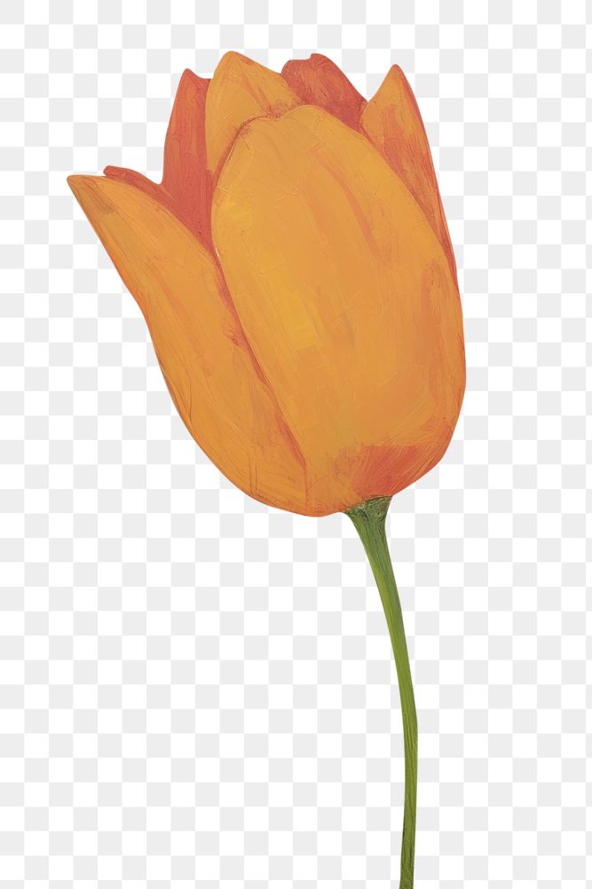 PNG Tulip painting flower plant. AI generated Image by rawpixel.