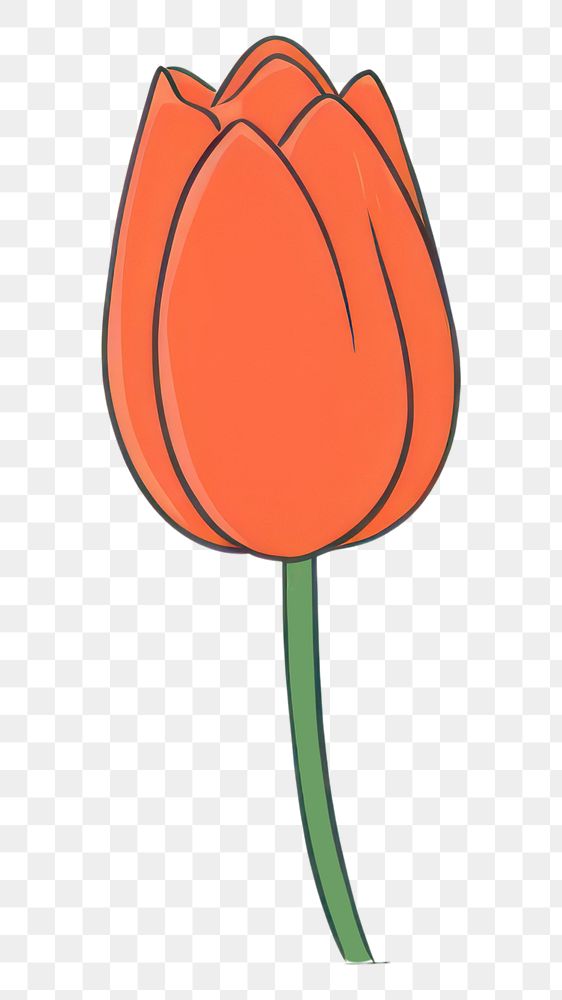 PNG Tulip cartoon flower plant. AI generated Image by rawpixel.