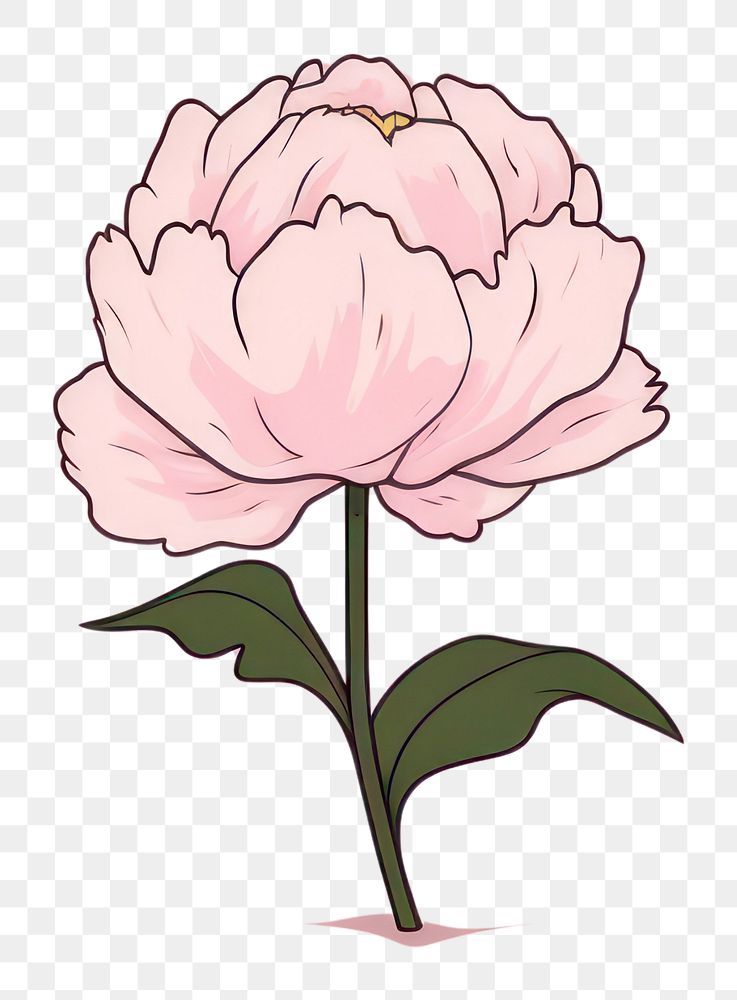 PNG Peony flower petal plant. AI generated Image by rawpixel.