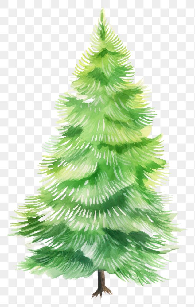 PNG Christmas tree decorate plant pine fir. AI generated Image by rawpixel.