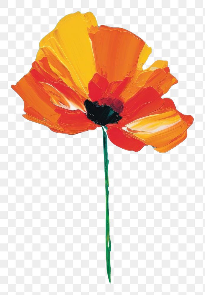 PNG Simple flower with lawn on hill painting poppy plant. 