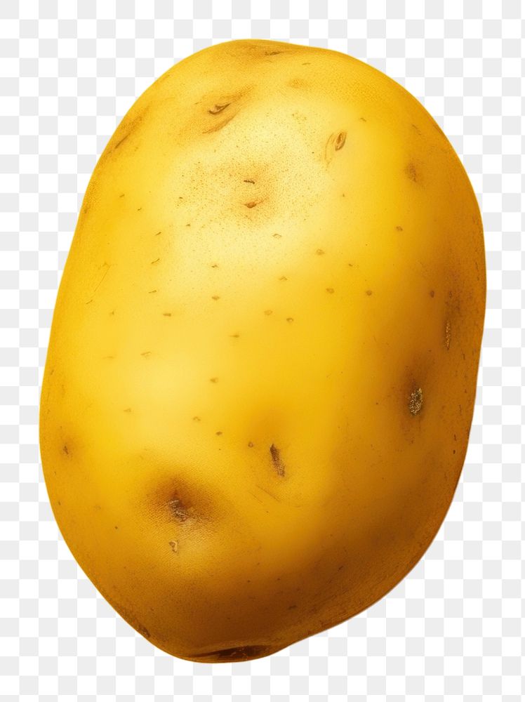 PNG  Potato yellow plant food. AI generated Image by rawpixel.