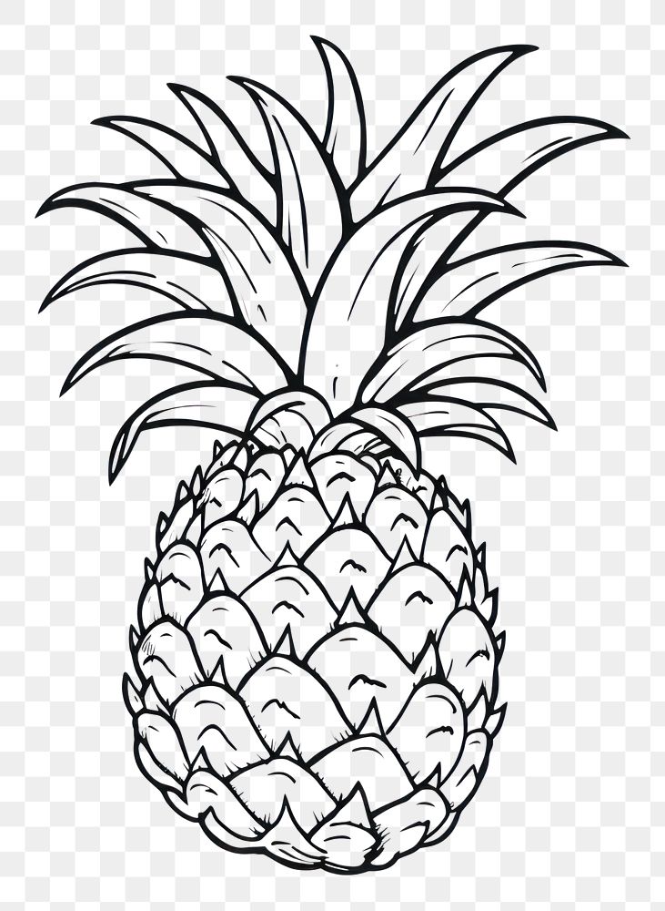 PNG  Pineapple sketch fruit plant. AI generated Image by rawpixel.