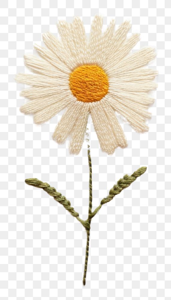 PNG  Daisy daisy embroidery pattern. AI generated Image by rawpixel.