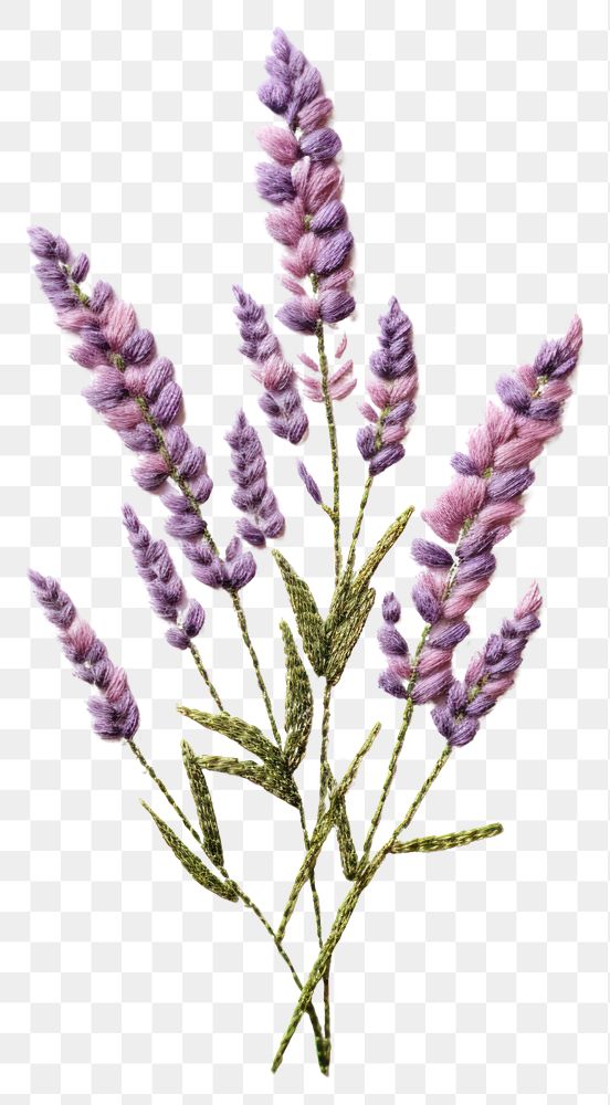 PNG  Lavender lavender embroidery blossom. AI generated Image by rawpixel.