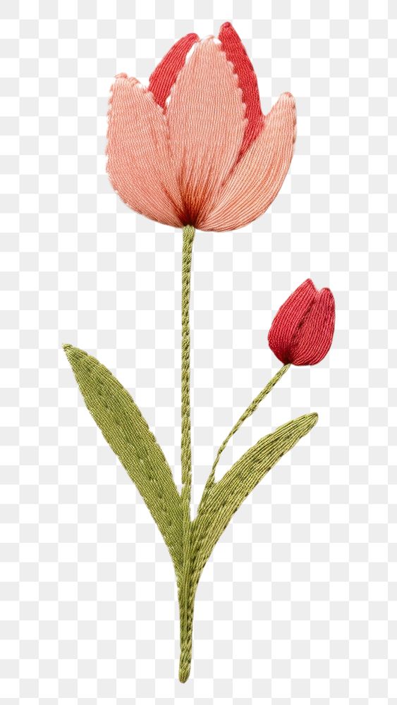 PNG  Tulip embroidery pattern flower. AI generated Image by rawpixel.