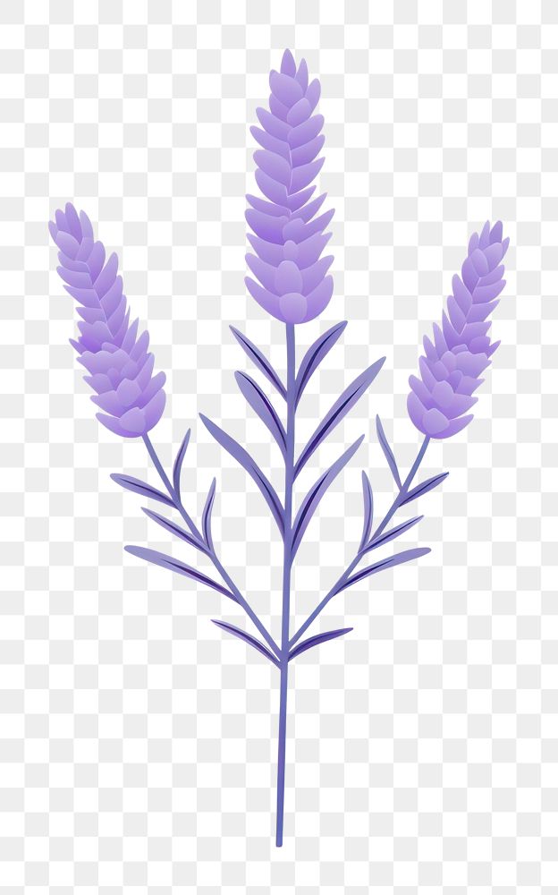 PNG Lavender lavender flower purple. AI generated Image by rawpixel.
