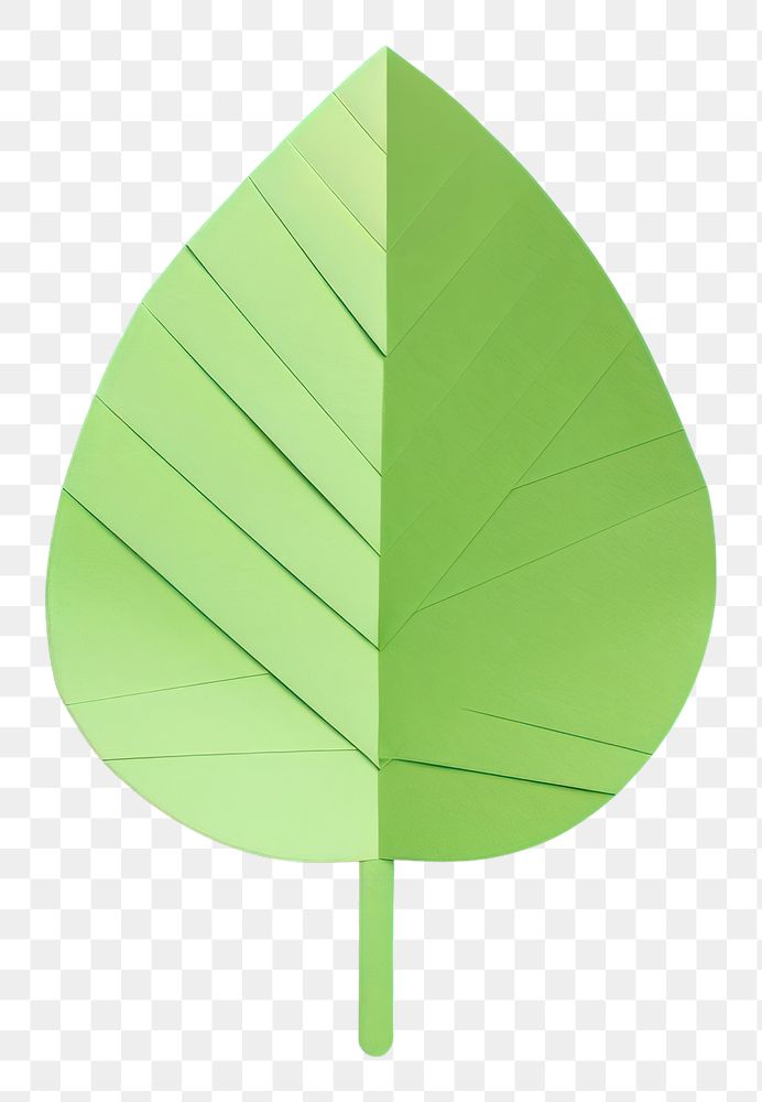 PNG  Green leaf plant yellow tree. AI generated Image by rawpixel.