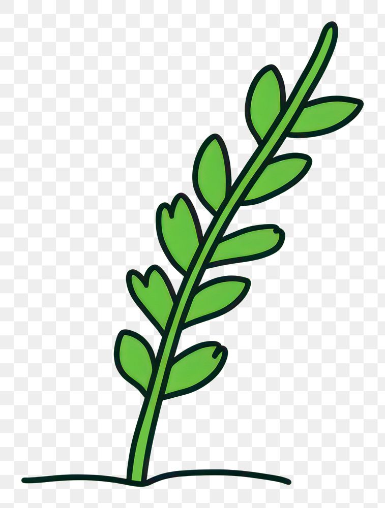 PNG Plant cartoon green herbs. AI generated Image by rawpixel.