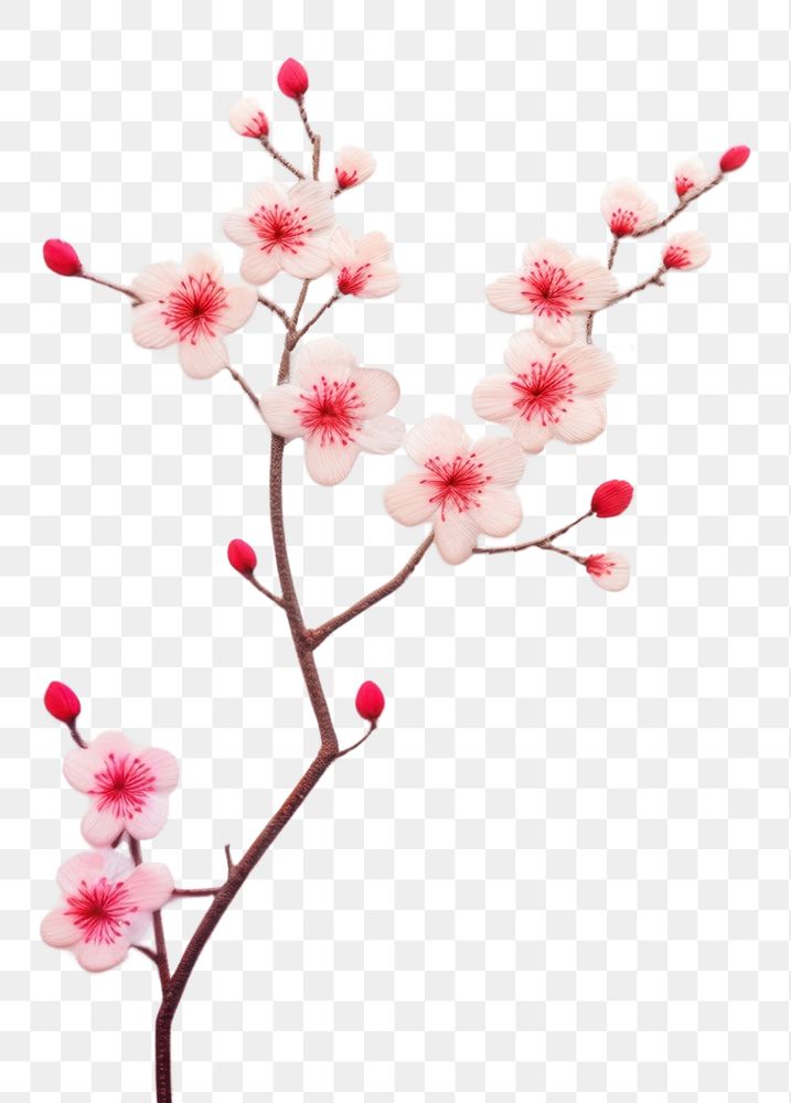 PNG Little sakura flower backgrounds blossom plant. AI generated Image by rawpixel.
