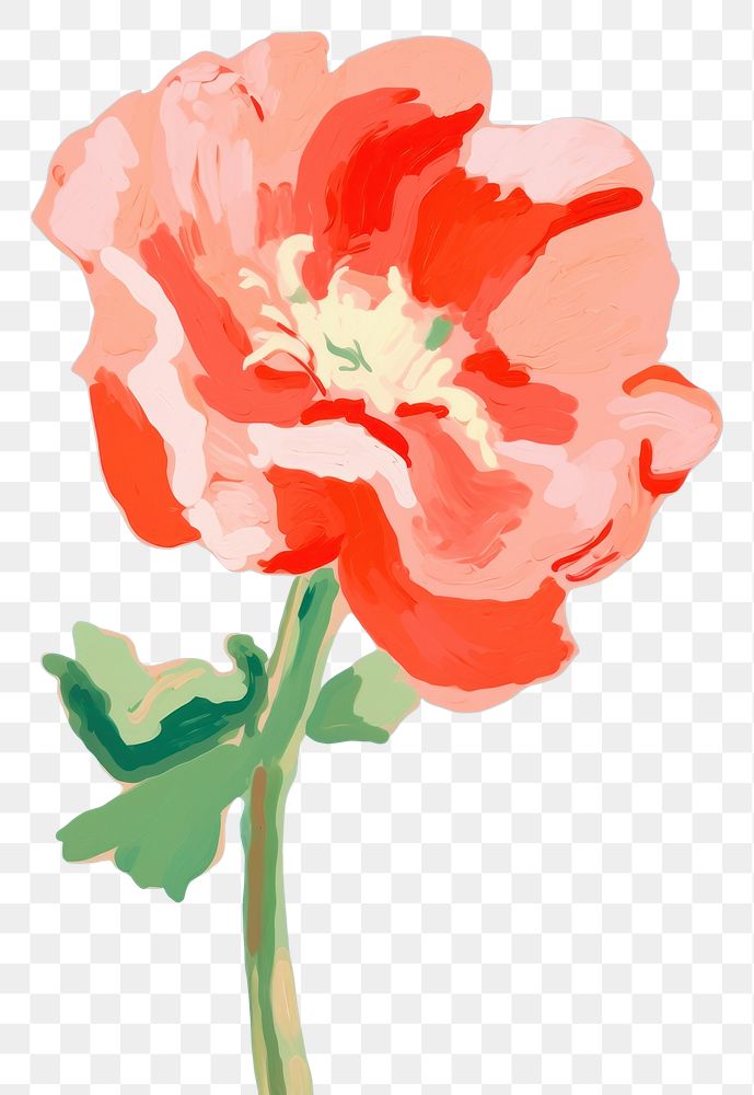 PNG Poppy flower painting plant. AI generated Image by rawpixel.