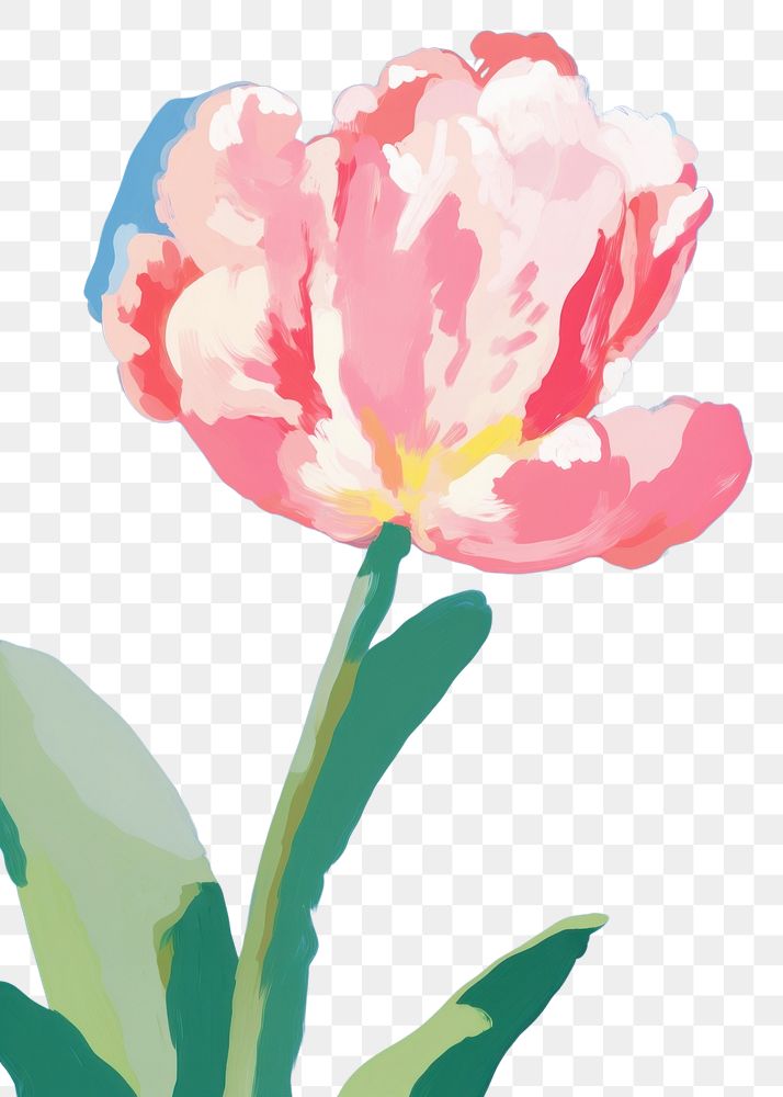 PNG Pink Tulip painting flower tulip. AI generated Image by rawpixel.