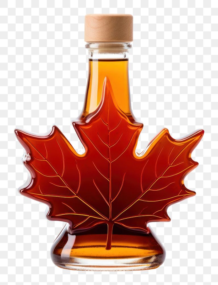 PNG Canadian maple syrup plant food leaf. 