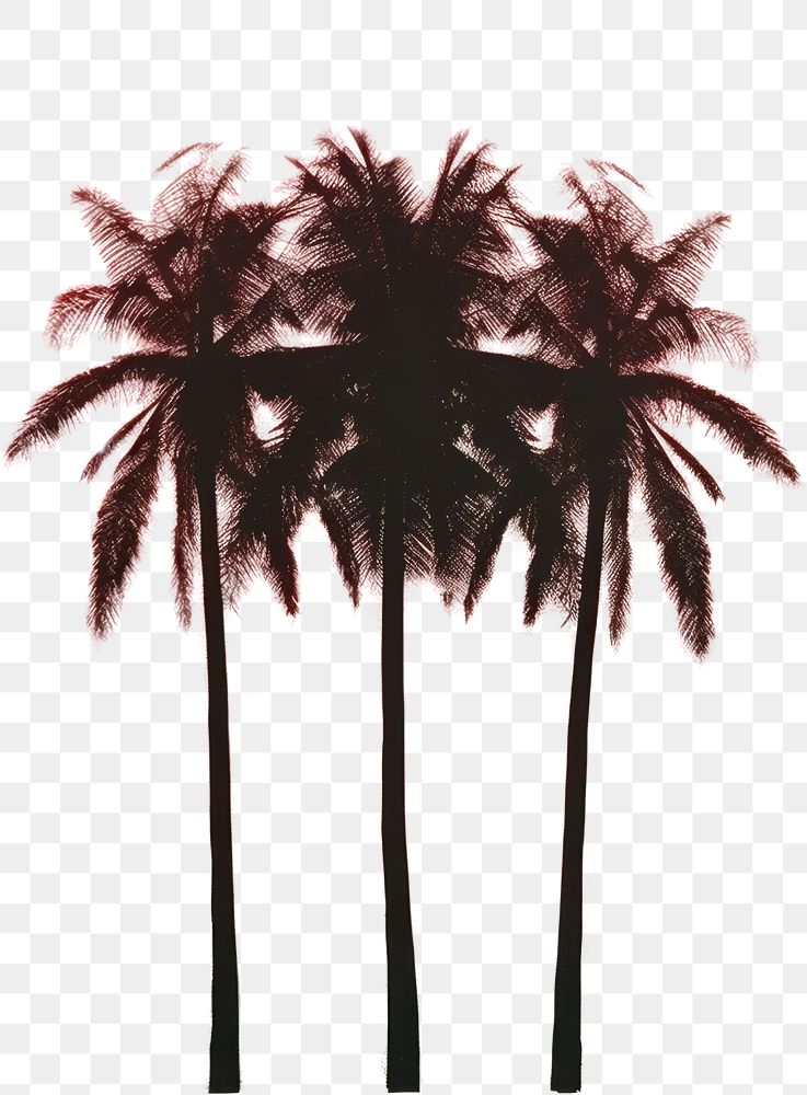 PNG Palm tree outdoors painting nature. AI generated Image by rawpixel.