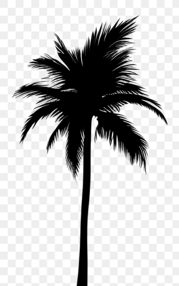 PNG  Palm trees silhouette outdoors nature. AI generated Image by rawpixel.