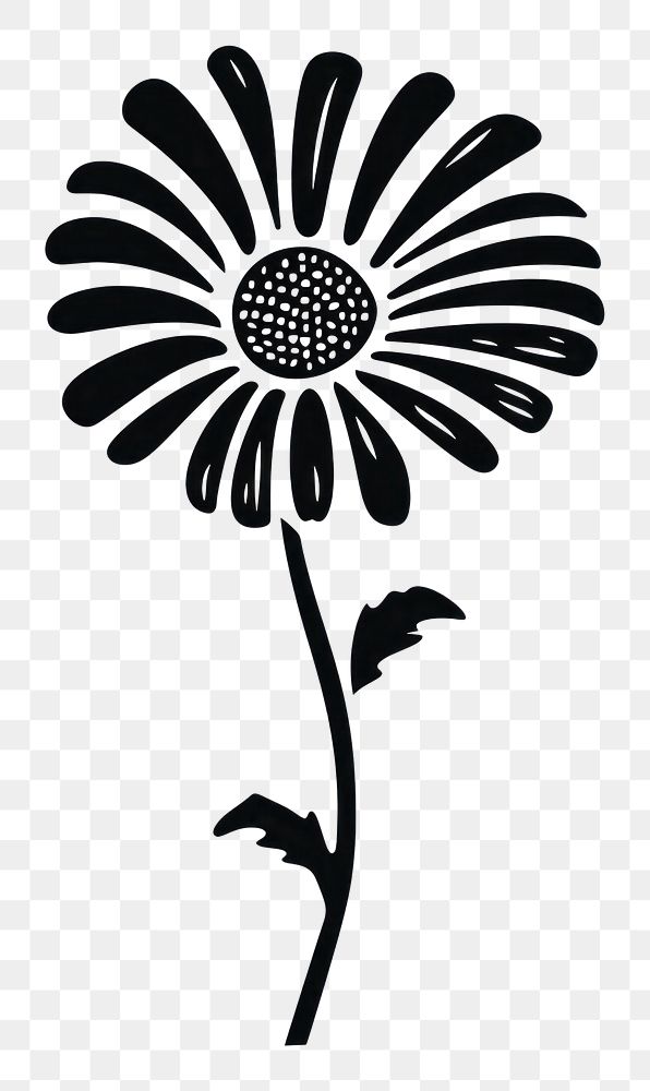 PNG Daisy drawing stencil flower. AI generated Image by rawpixel.