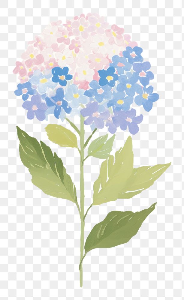 PNG Hydrangea flower plant leaf art. AI generated Image by rawpixel.