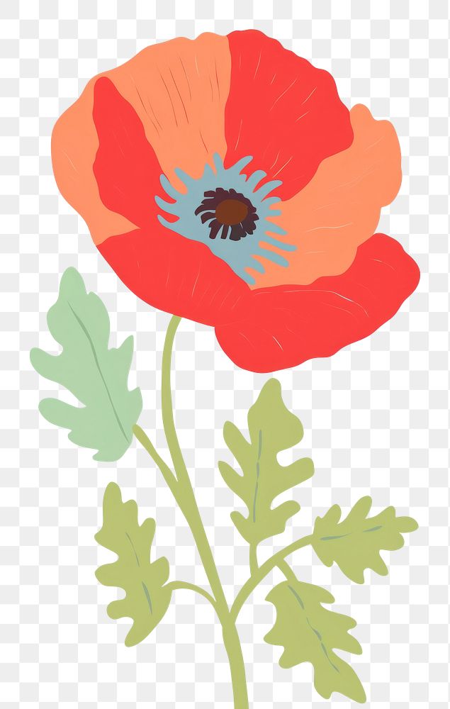 PNG Poppy flower plant red inflorescence. AI generated Image by rawpixel.