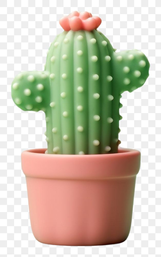 PNG Cactus plant houseplant terracotta. AI generated Image by rawpixel.