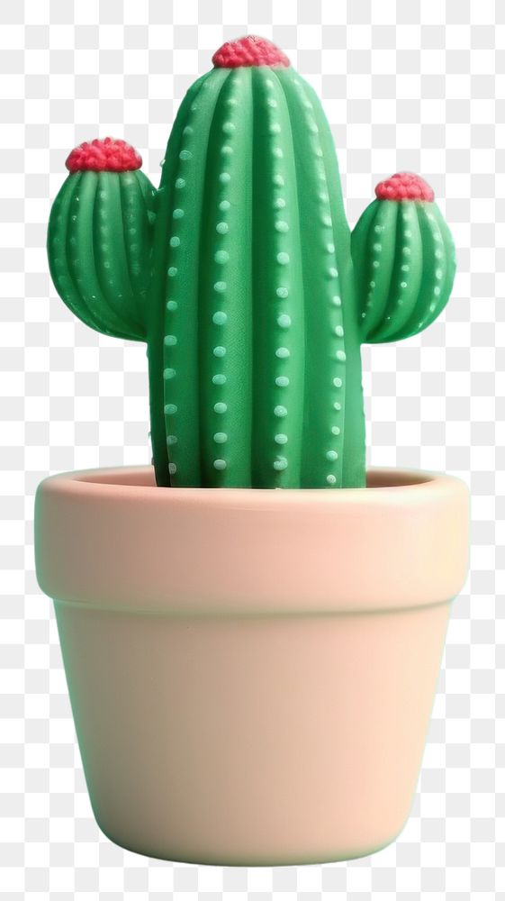 PNG Cactus in pot plant houseplant freshness. AI generated Image by rawpixel.