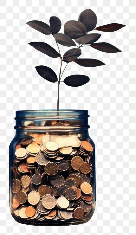 PNG A glass jar filled with coins and a plant leaf tranquility investment. AI generated Image by rawpixel.