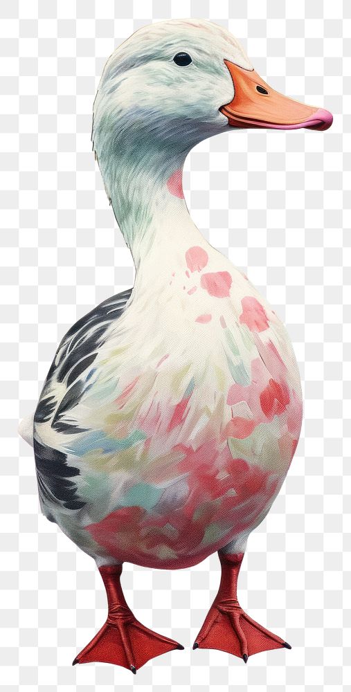 PNG Full body duck animal bird beak. AI generated Image by rawpixel.