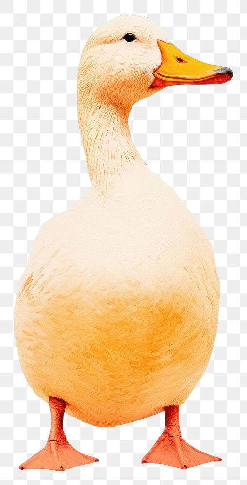 PNG Full body duck animal goose bird. AI generated Image by rawpixel.