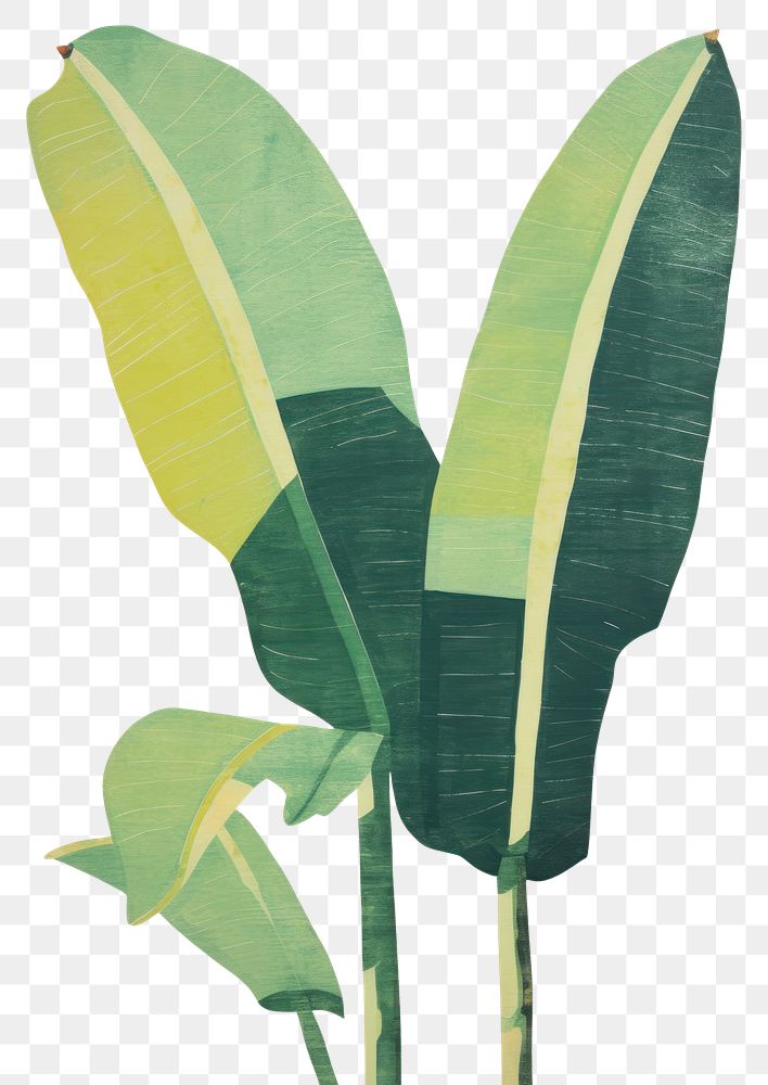 PNG Banana leaf art painting plant