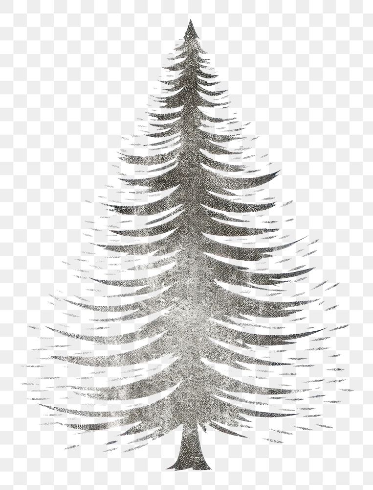 PNG Pine tree icon christmas drawing sketch. AI generated Image by rawpixel.