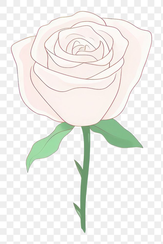 PNG  White rose cartoon drawing flower. AI generated Image by rawpixel.