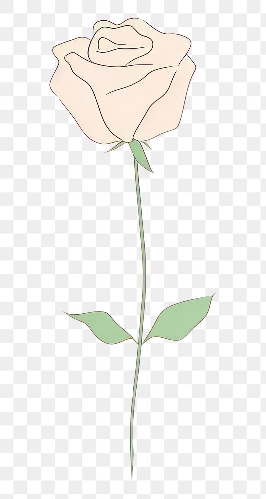 PNG  Rose cartoon drawing flower. AI generated Image by rawpixel.