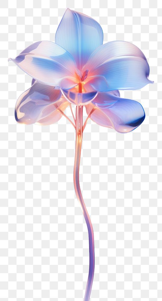 PNG Orchid flower petal plant. AI generated Image by rawpixel.