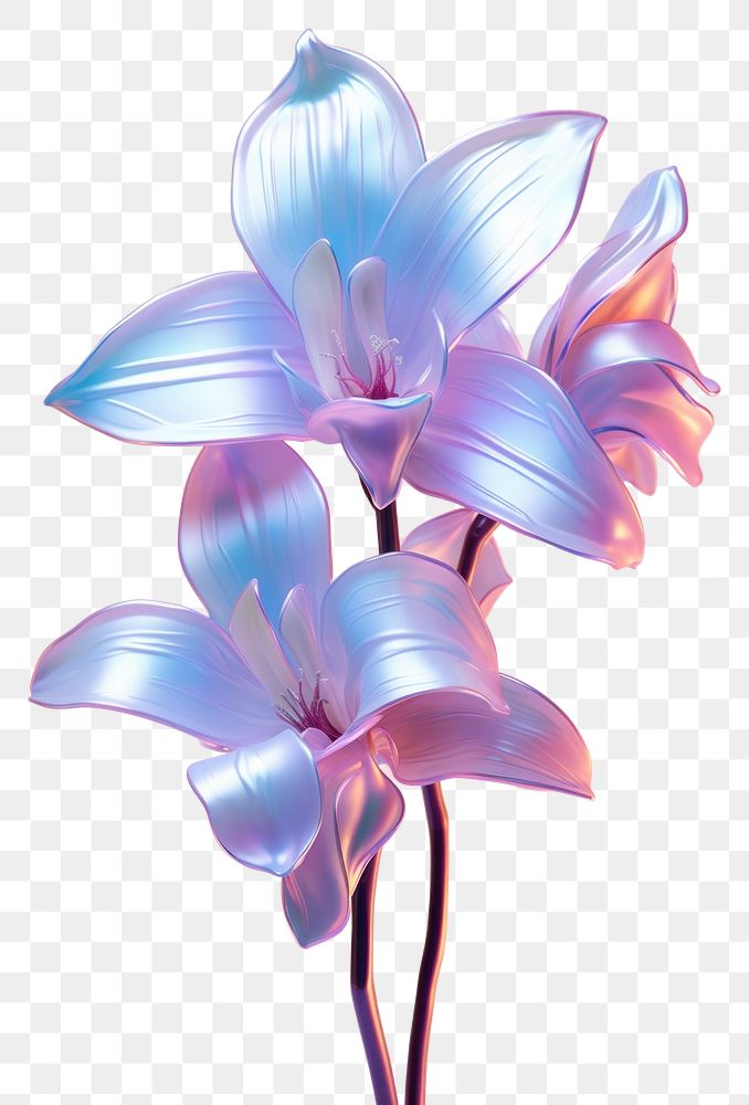 PNG Orchid flower blossom petal. AI generated Image by rawpixel.