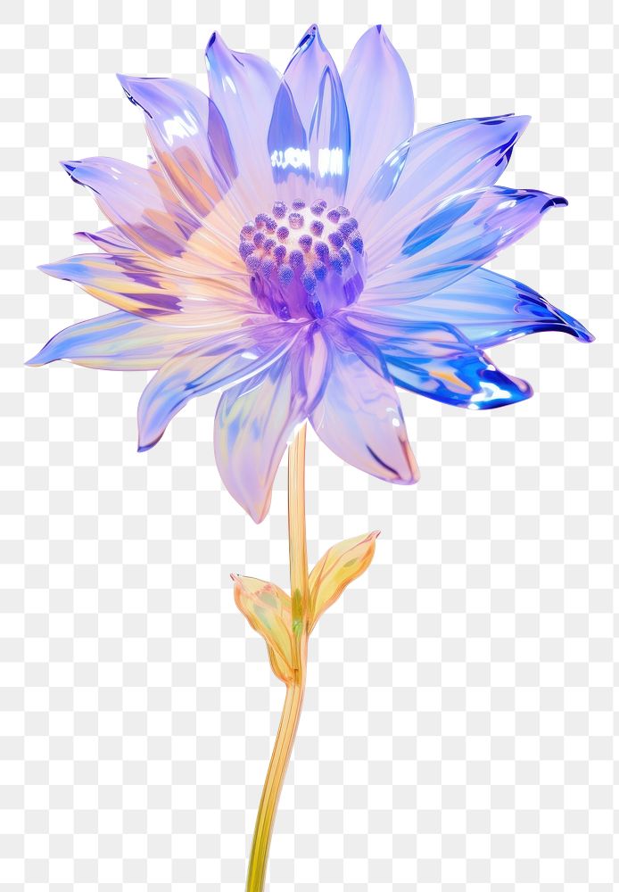 PNG Sunflower dahlia petal plant. AI generated Image by rawpixel.