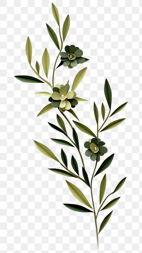 PNG Olive color plant herbs leaf. AI generated Image by rawpixel.